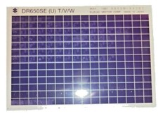 Suzuki DR650RSE (M/N)